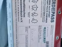 公马, Westphalian — 照片 2