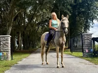 Faras, Quarter Horse — sawirka 6