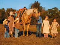 Horse (M), Quarter Horse — photo 4