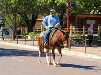 Faras, Mule — sawirka 4