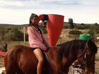 Caballo, Caballos — foto 4