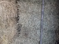 Vând nutreț pentru animale . — foto 2