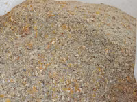 Corm — الصورة 1
