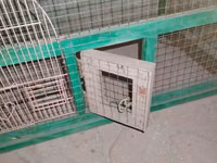 Quşlar üçün iri ölçülü qəfəs. Metal tor və yaşıl rəngli möhkəm — foto 3