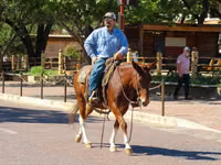 Faras, Mule — sawirka 7
