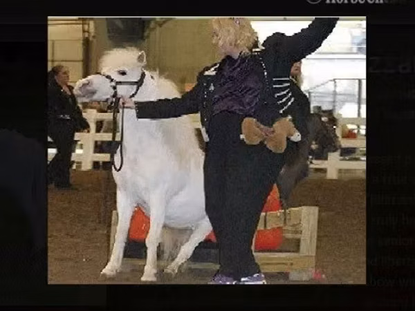 Faras dhaddig, Miniature horse