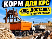 Жом — корм для КРС. Отгрузка самосвалами 16–18 тонн. - Питательный — الصورة 1