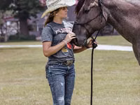 Caballo, Quarter Horse — foto 5