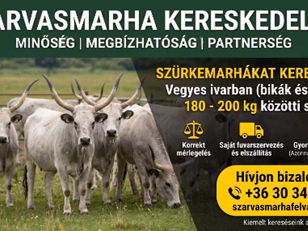КРС (партия, пол не указан), Украинская серая корова