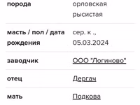 Mare, Orlov Trotter — photo 5