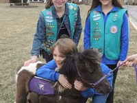 Faras, Miniature horse — sawirka 1