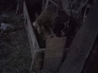 Кормушка для сельскохозяйственных животных (овцы, козы, телята) - — Foto 1