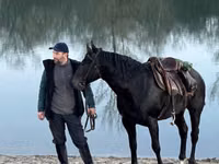 घोड़ा, Karachay horse — फ़ोटो 7