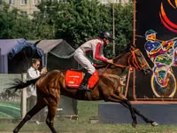 母马, Arabian horse — 照片 2