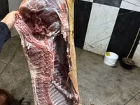 公猪, Pigs — 照片 2