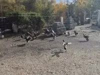 إنديان رانر — الصورة 4