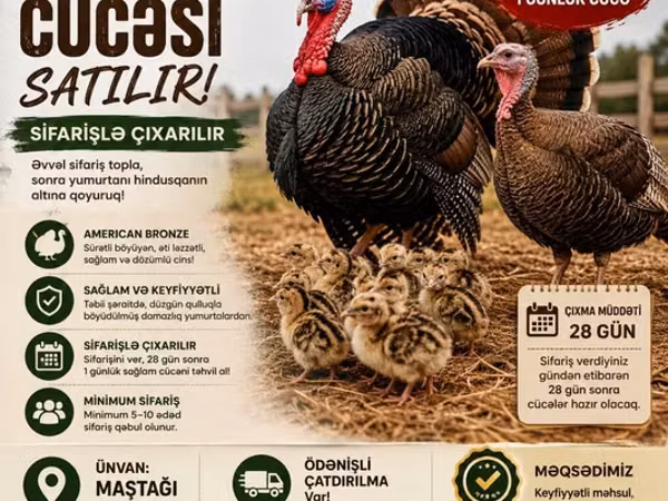 Бронзовая