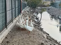 琳达 — 照片 3