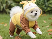 🐶 İtlər üçün yağışlıq ⚠️ Zəhmət olmasa, sifariş verməzdən əvvəl ölçü — 照片 1