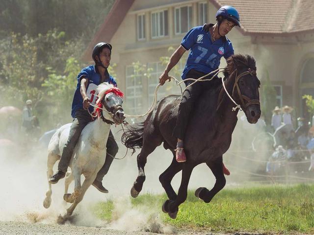 Вьетнамский хмонг
