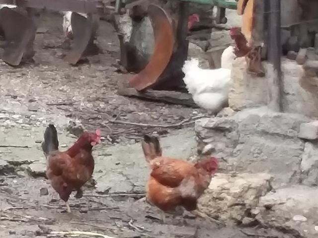 松博尔卡波尔卡