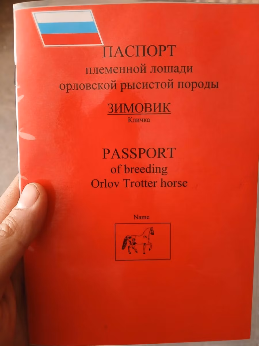 Французский рысак