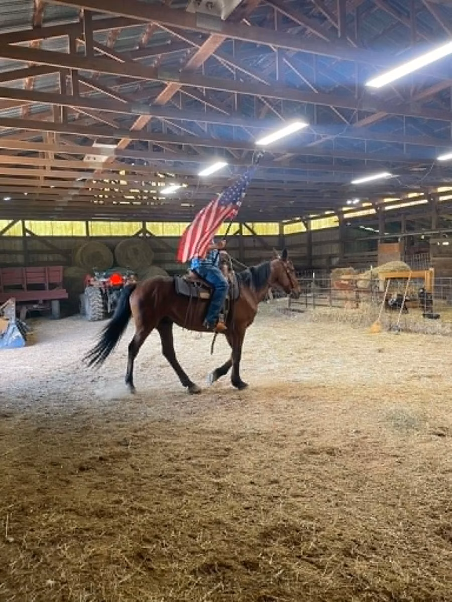 Standardbred